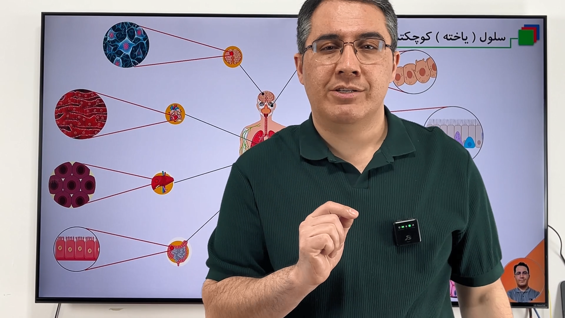 تناسب بین شکل و کار سلول ( یاخته ) - علوم هفتم - فصل یازدهم